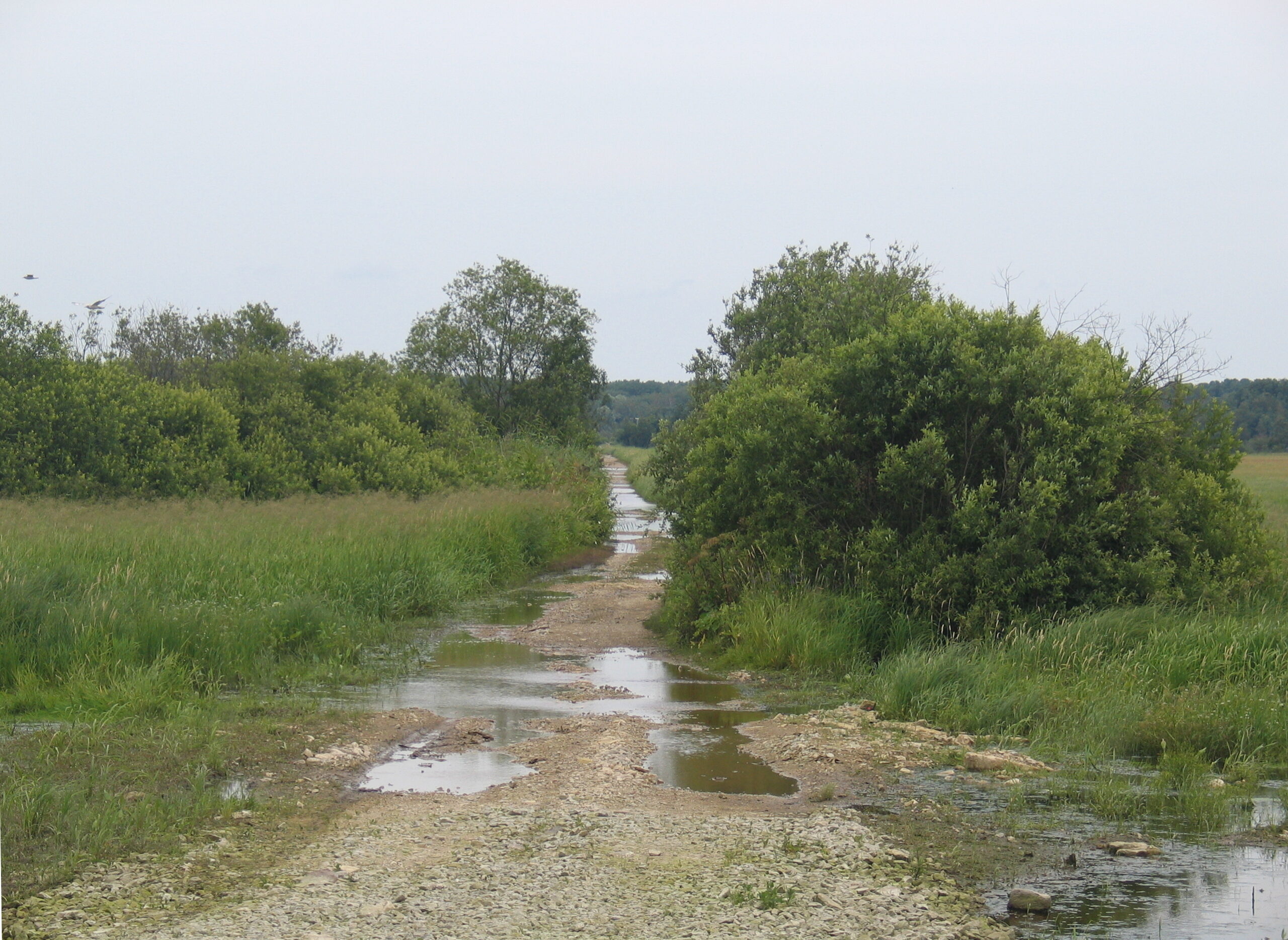 Vesised teeolud Ranna teel 2012. aasta juulis