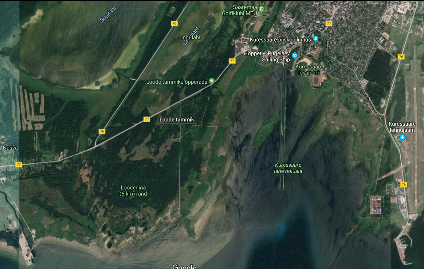 Loode tammiku asukoht