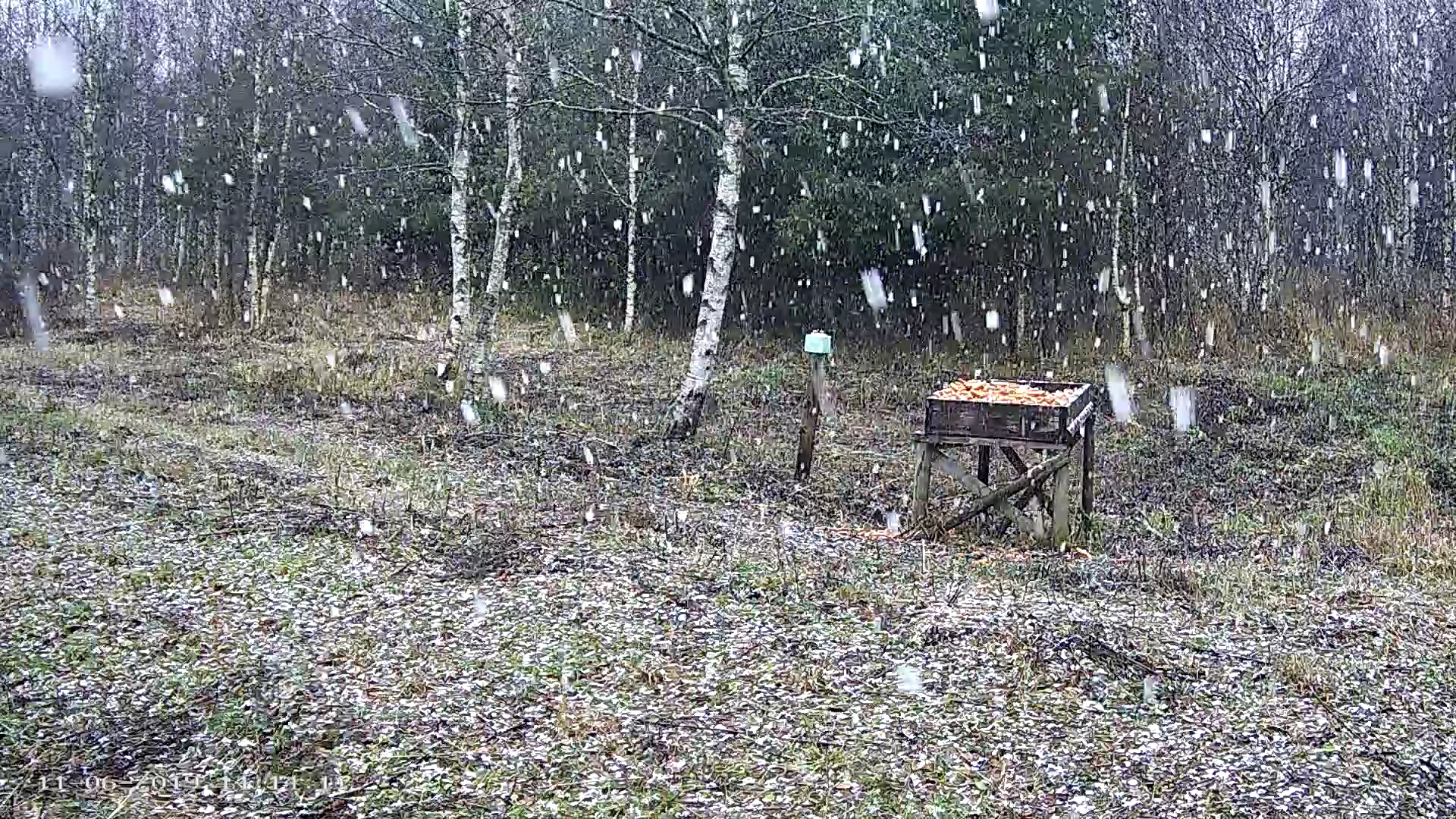 Lörtsisadu söödaplatsil