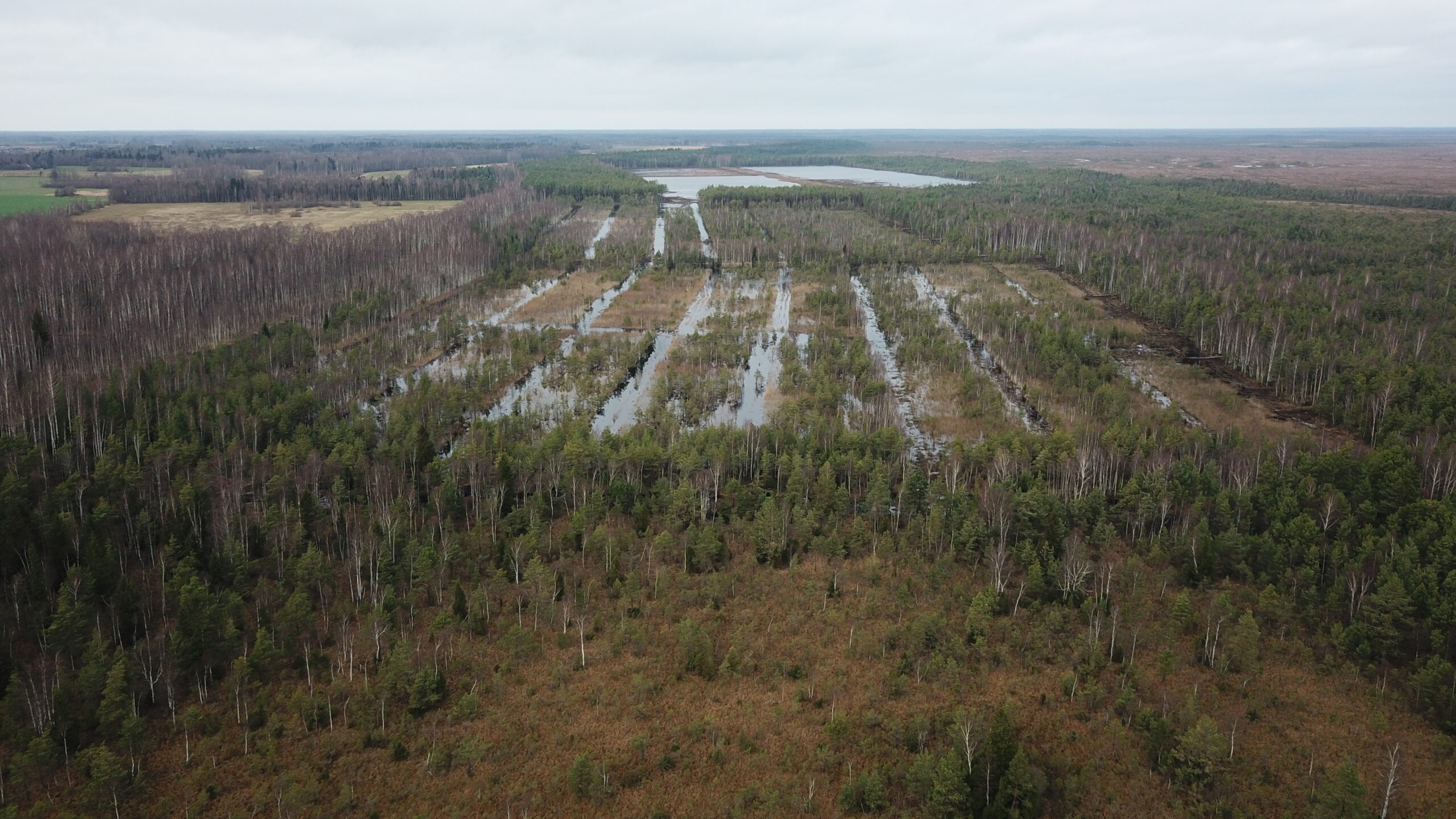 Lõunapoolsel alal tõusnud vesi novmebris 2019