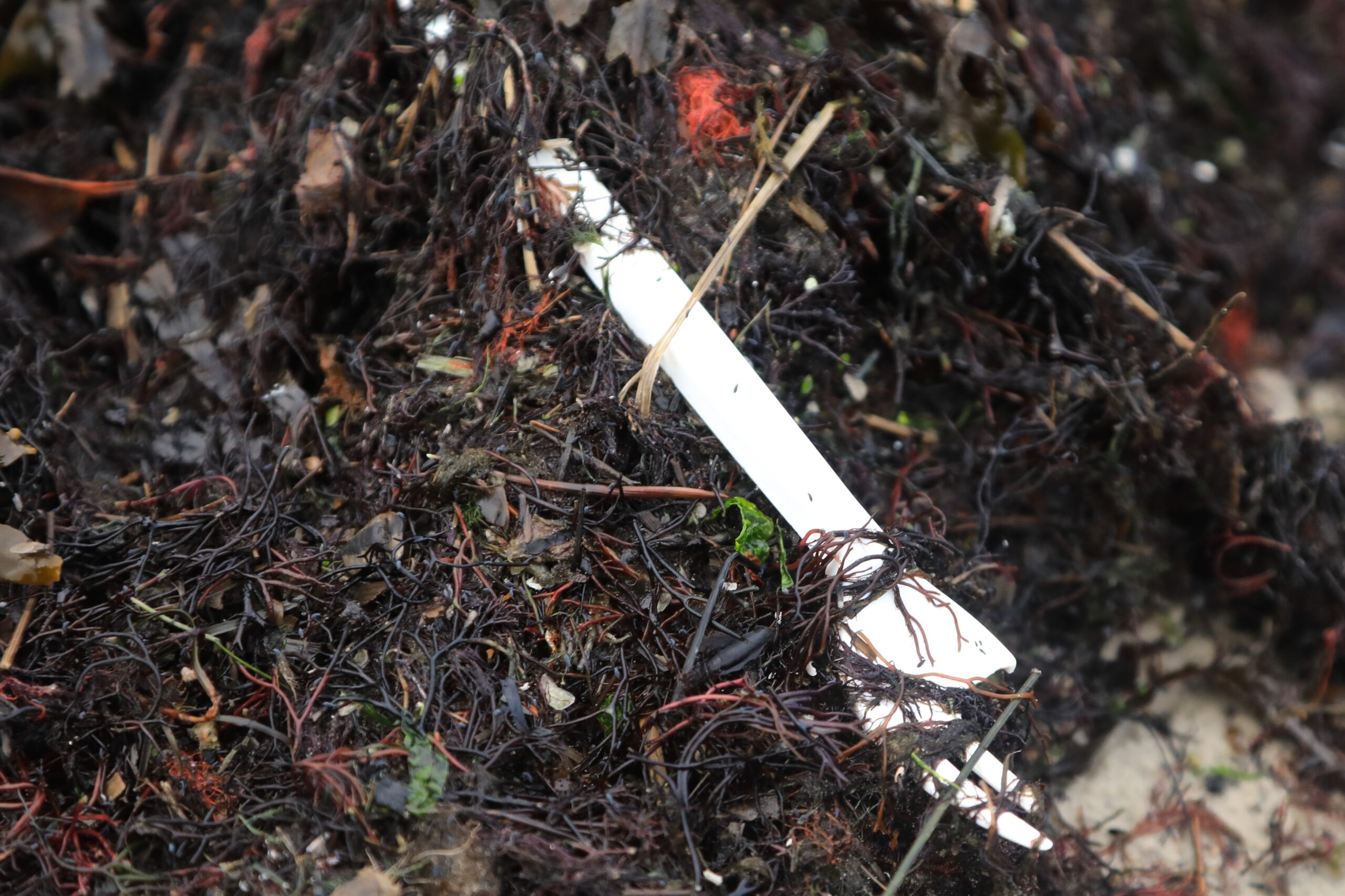 kahvel punavetika sees