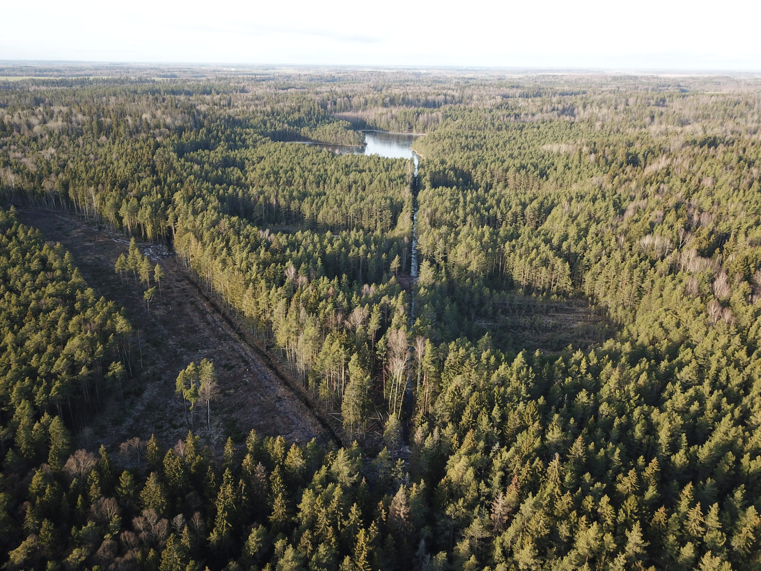 Droonifoto pärast pinnaspaisude valmimist