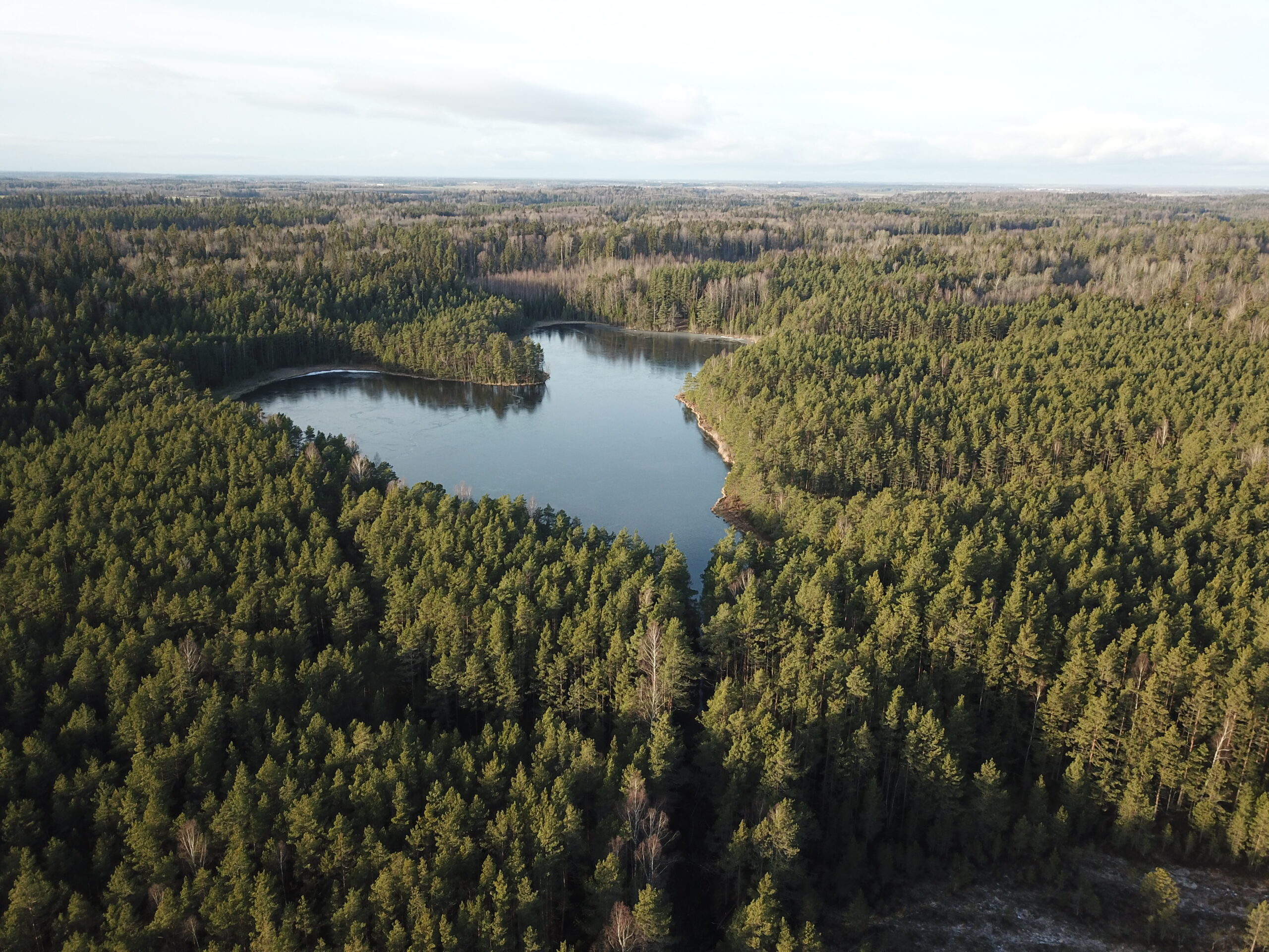 Droonifoto pärast pinnaspaisude valmimist