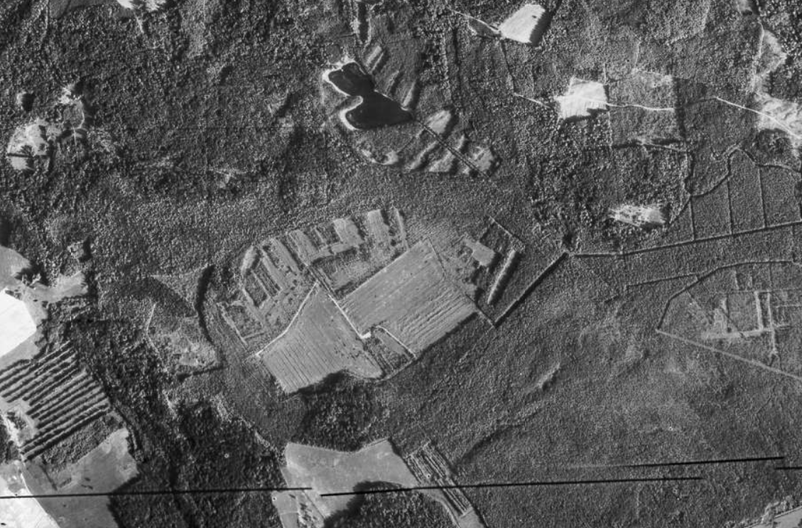 Ortofoto aastast 1987