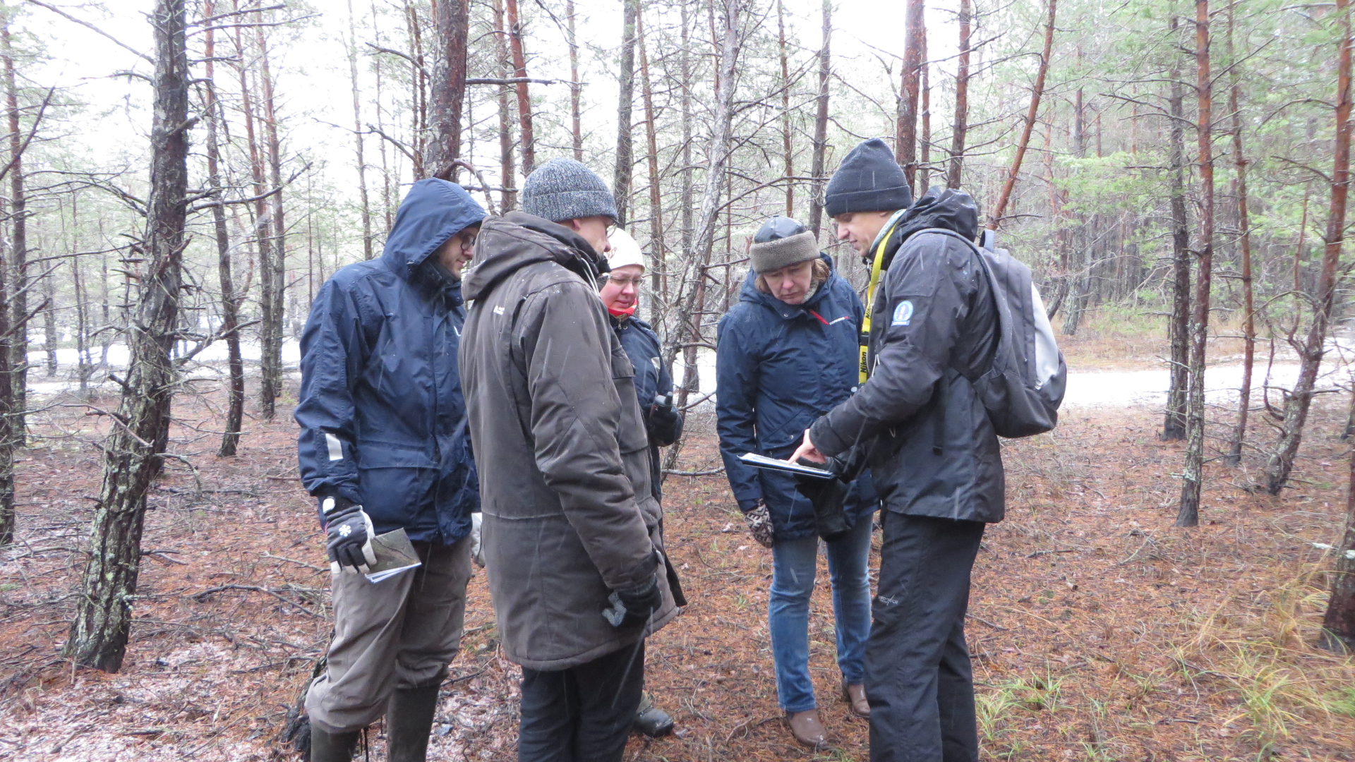 Taastamistöid ettevalmistavad välitööd 2019. aasta jaanuaris