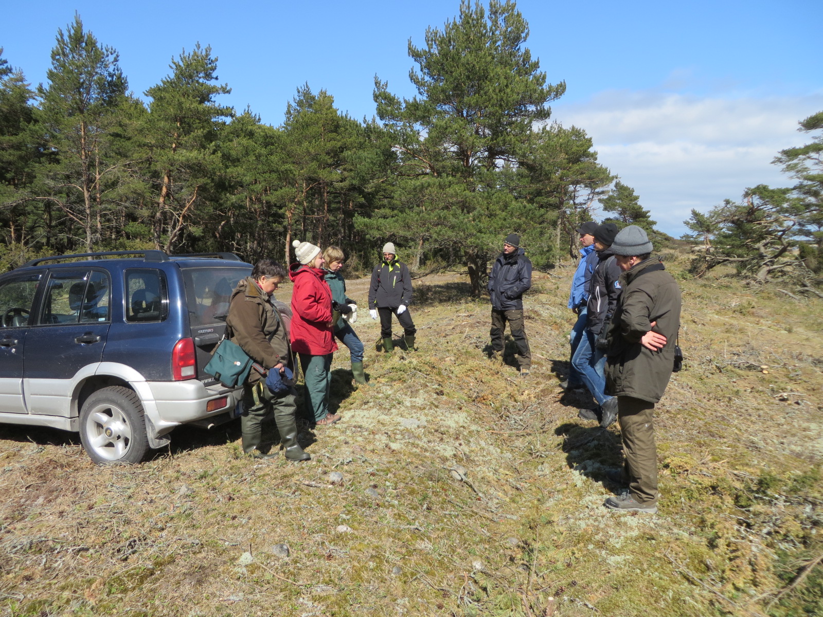 Liigikaitsespetsialistid, kaitse planeerijad ja teadlased hindamas olukorda ning tegemas tulevikuplaane Harilaiul 2014. aasta mais