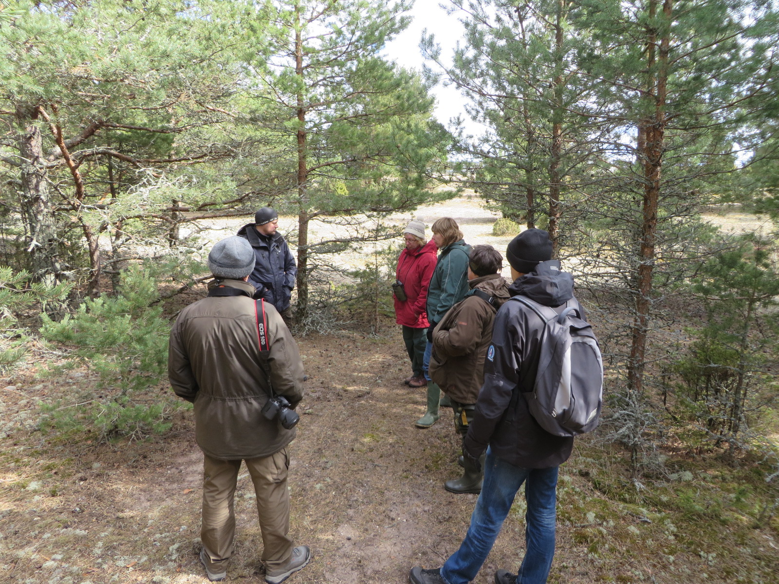 Liigikaitsespetsialistid, kaitse planeerijad ja teadlased hindamas olukorda ning tegemas tulevikuplaane Harilaiul 2014. aasta mais