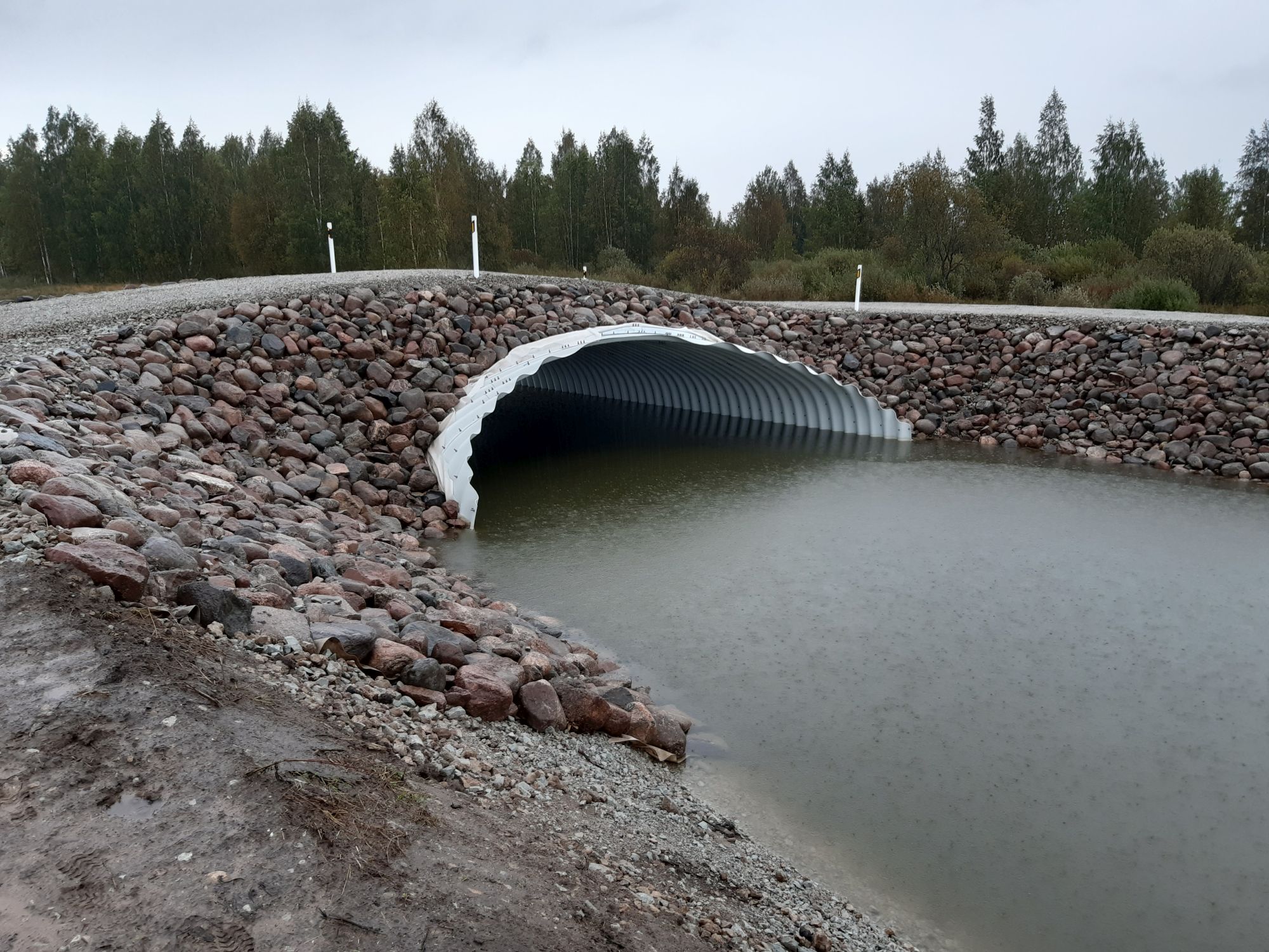 Torusild Karoli luhale