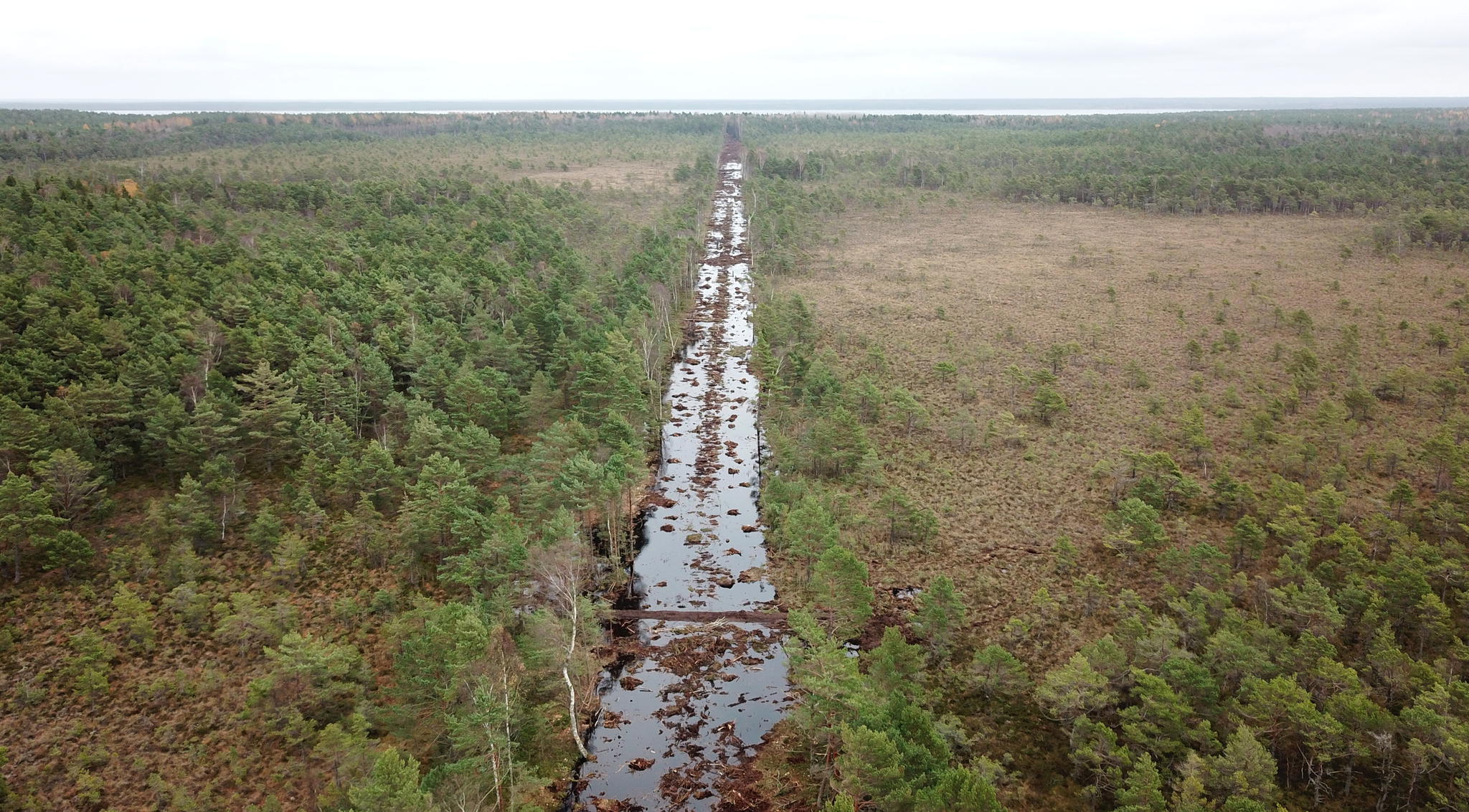 Kõlaja raba poolitanud kraavi sulgemine