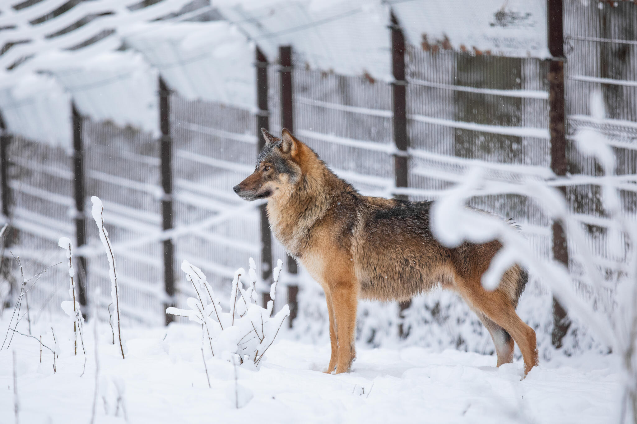 Elistvere Animal Park and Visitor Center