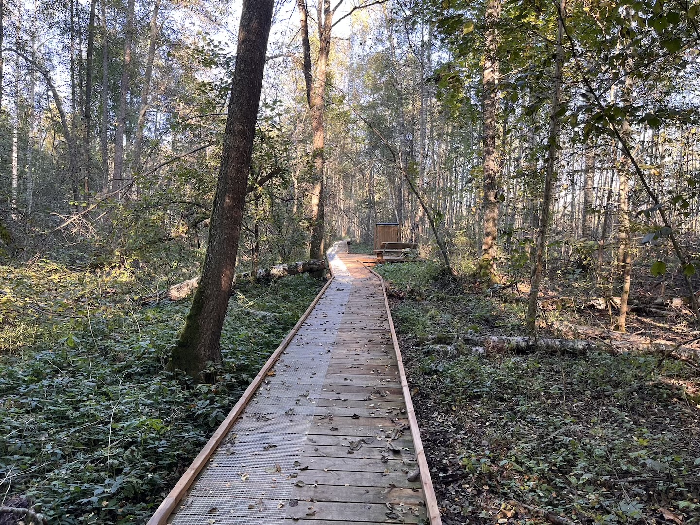 Elistvere study trail (2 km)