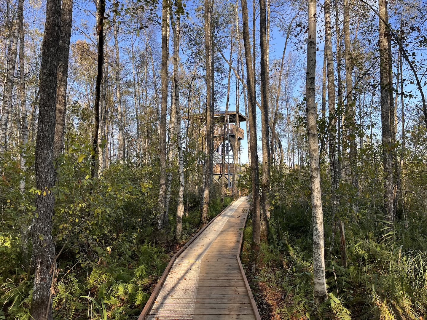 Elistvere study trail (2 km)