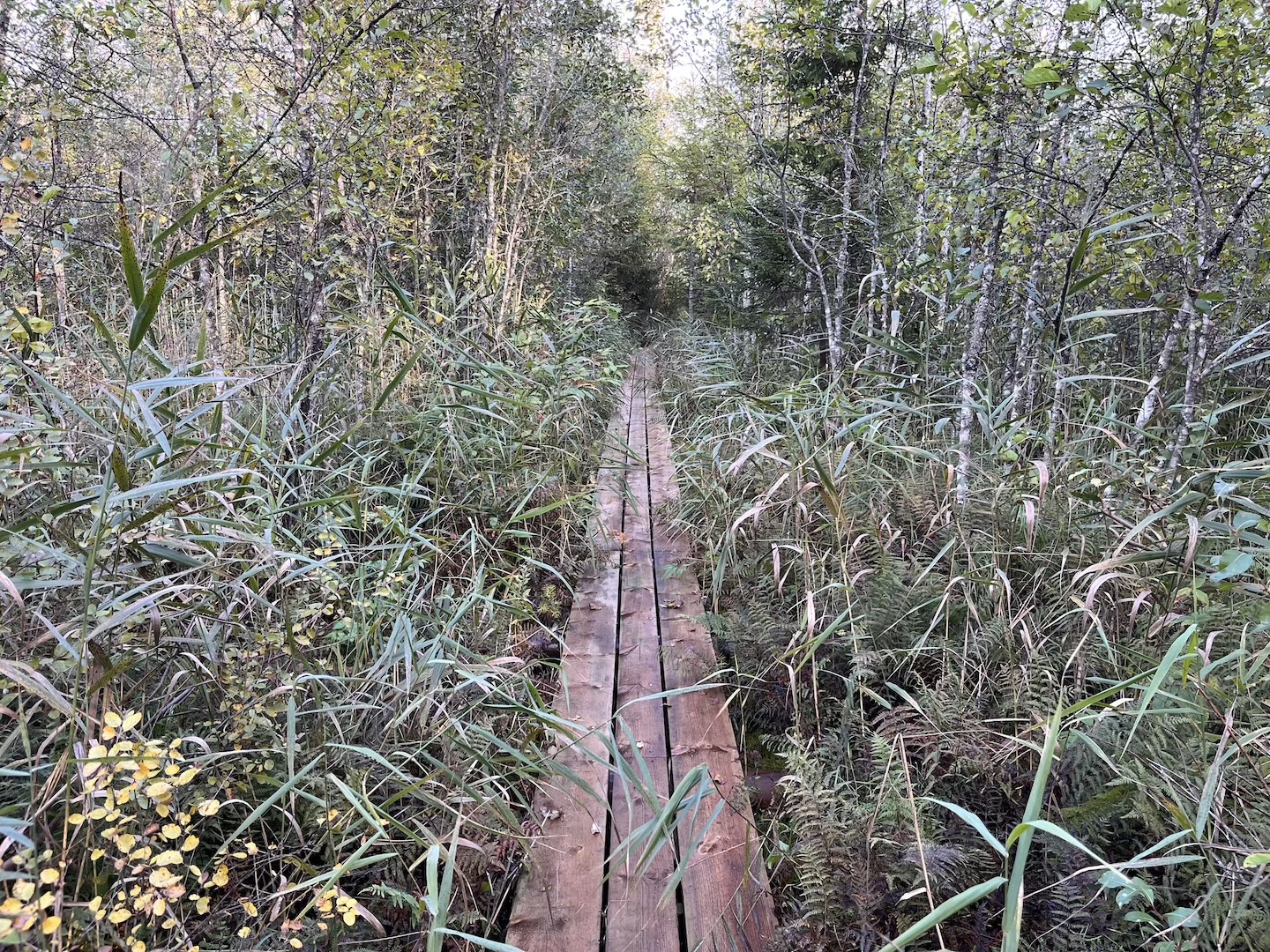 Elistvere study trail (2 km)