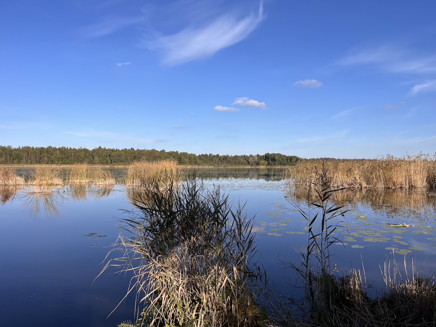 Elistvere study trail (2 km)