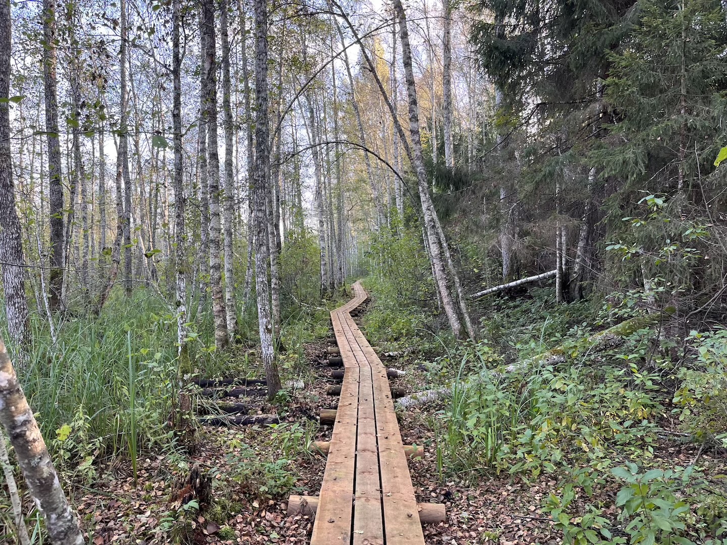 Elistvere study trail (2 km)