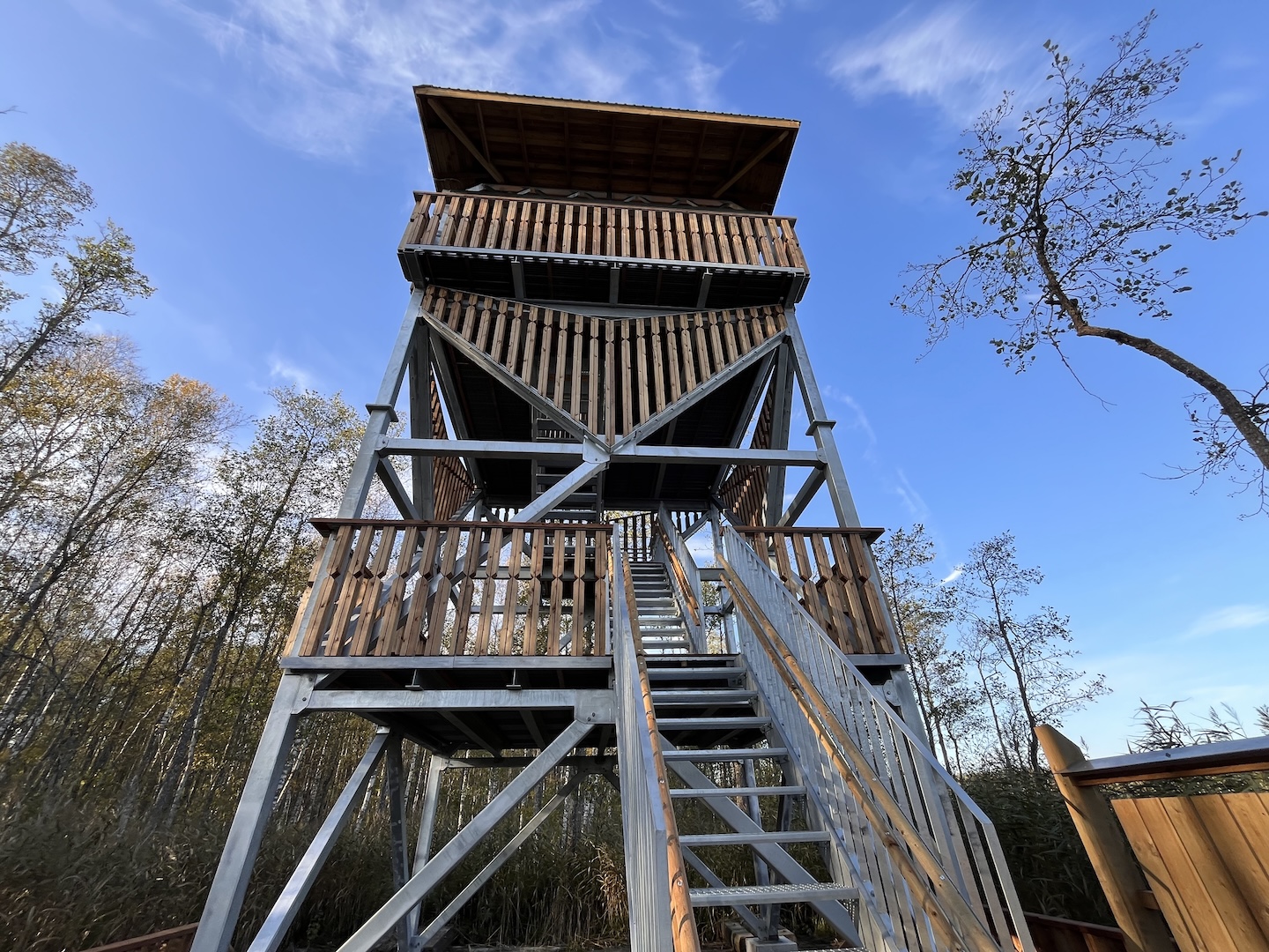 Elistvere õpperaja vaatetorn  (parklast ca 500  m)