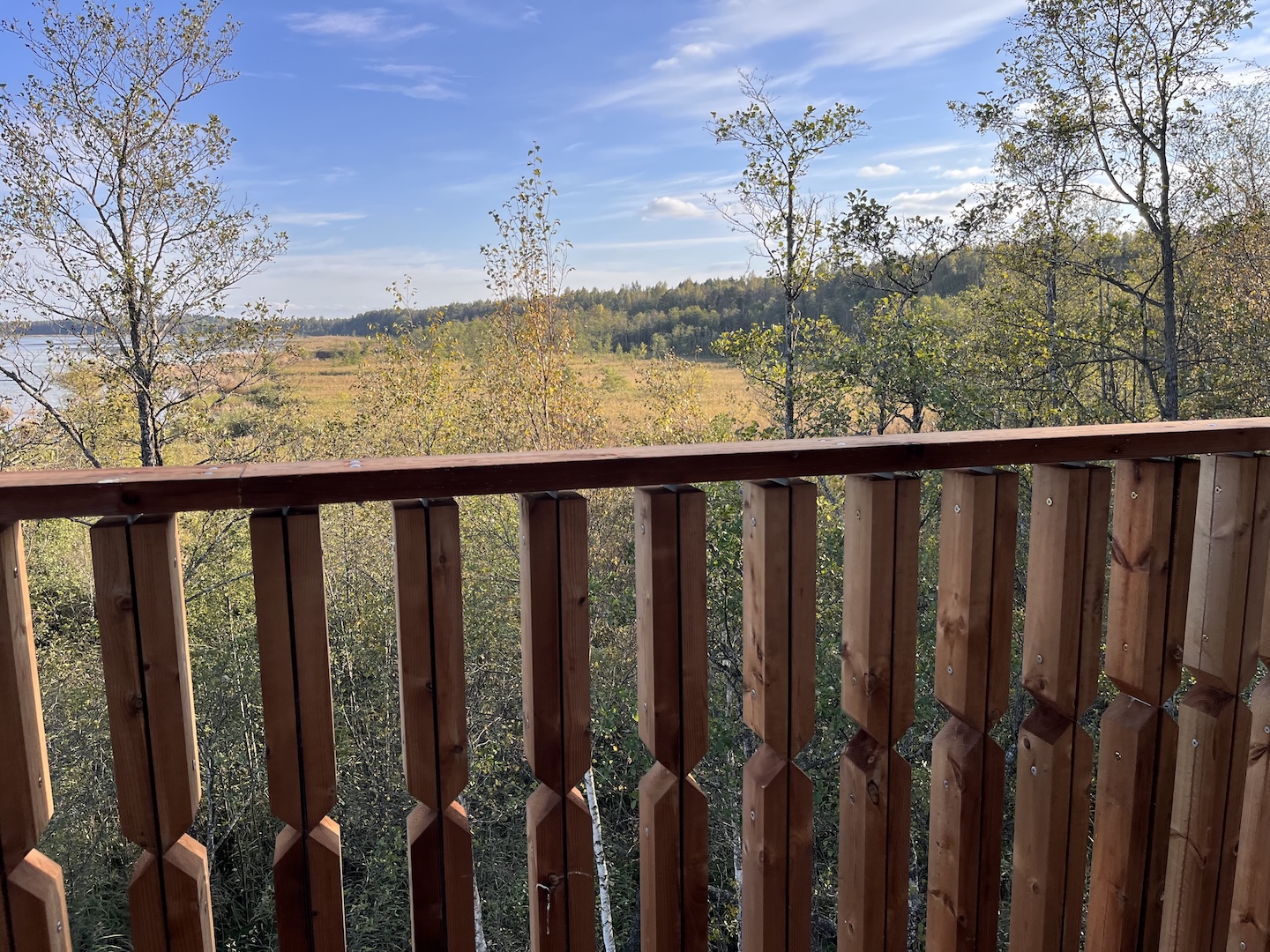 Elistvere õpperaja vaatetorn  (parklast ca 500  m)