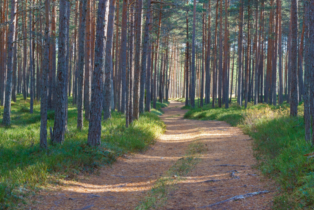 Harju-Risti matkarada.