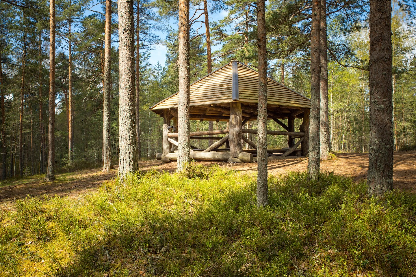 Harku metsa loodusrada (5,7 km)