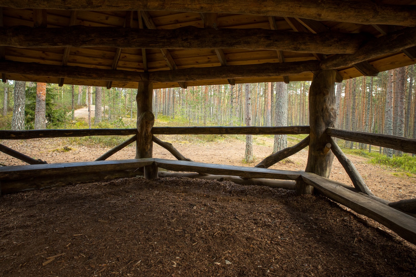 Harku metsa loodusrada (5,7 km)