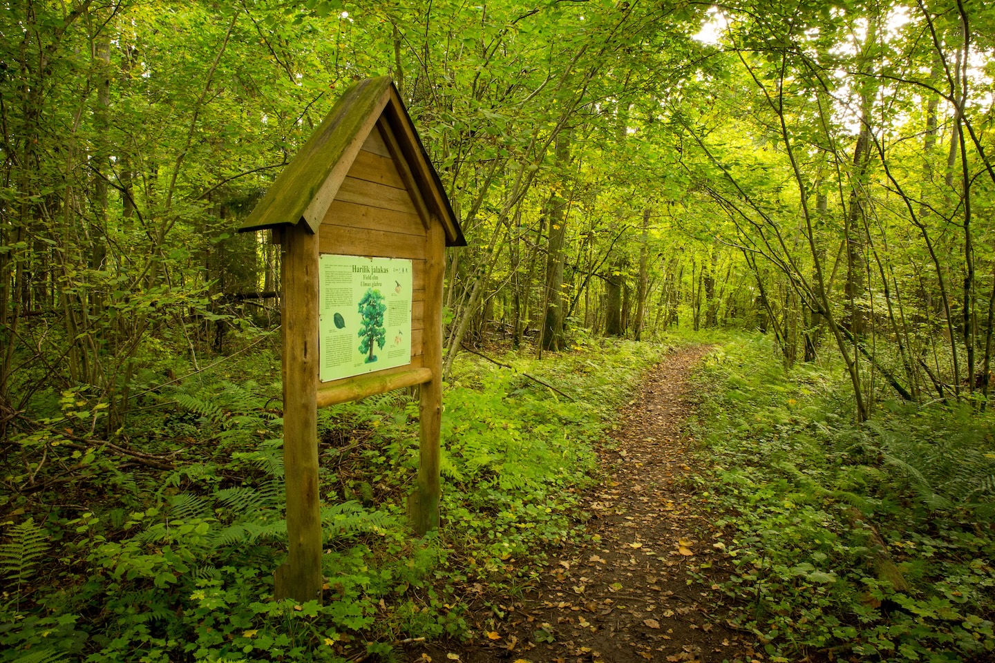 Heimtali õpperada  (2,5 km)