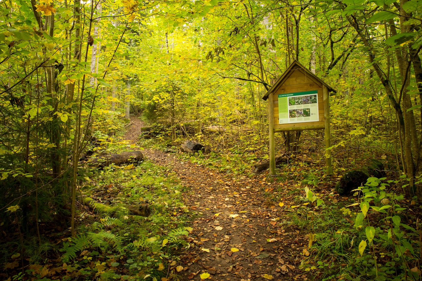 Heimtali õpperada  (2,5 km)