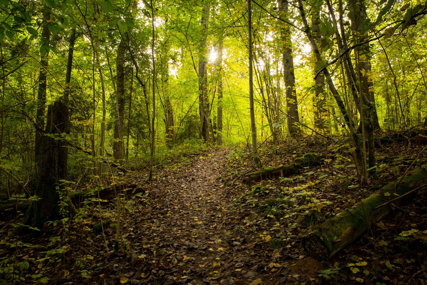 Heimtali õpperada  (2,5 km)