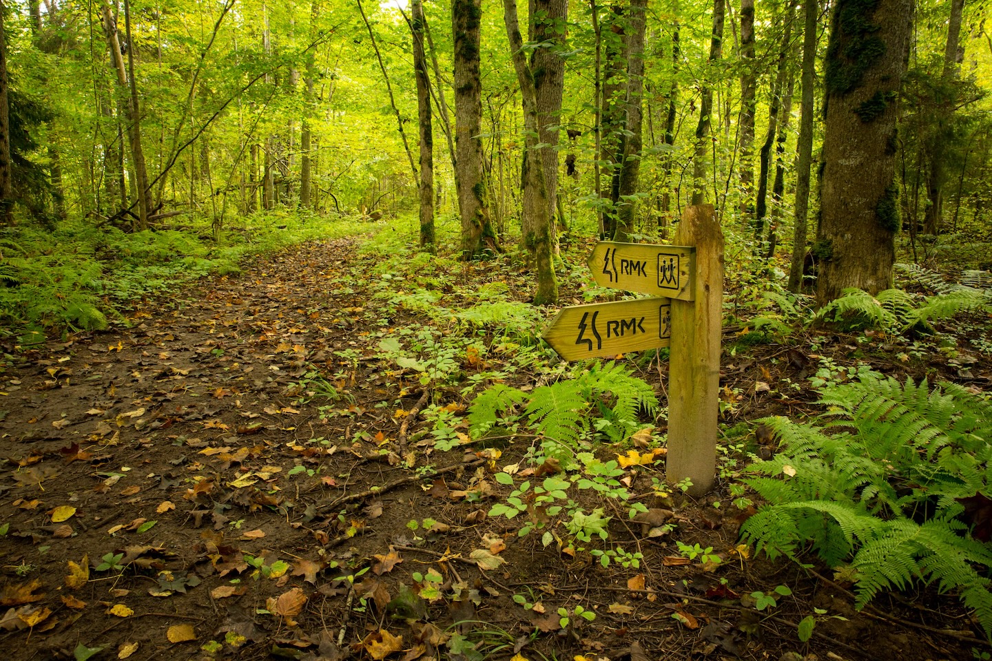 Heimtali õpperada  (2,5 km)
