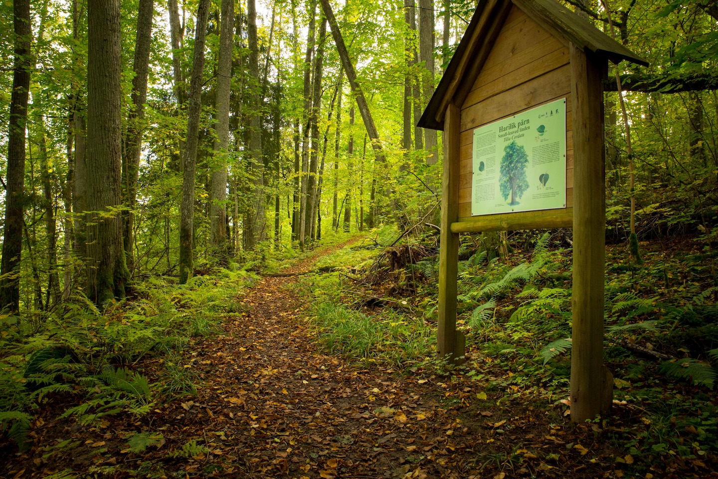 Heimtali õpperada  (2,5 km)
