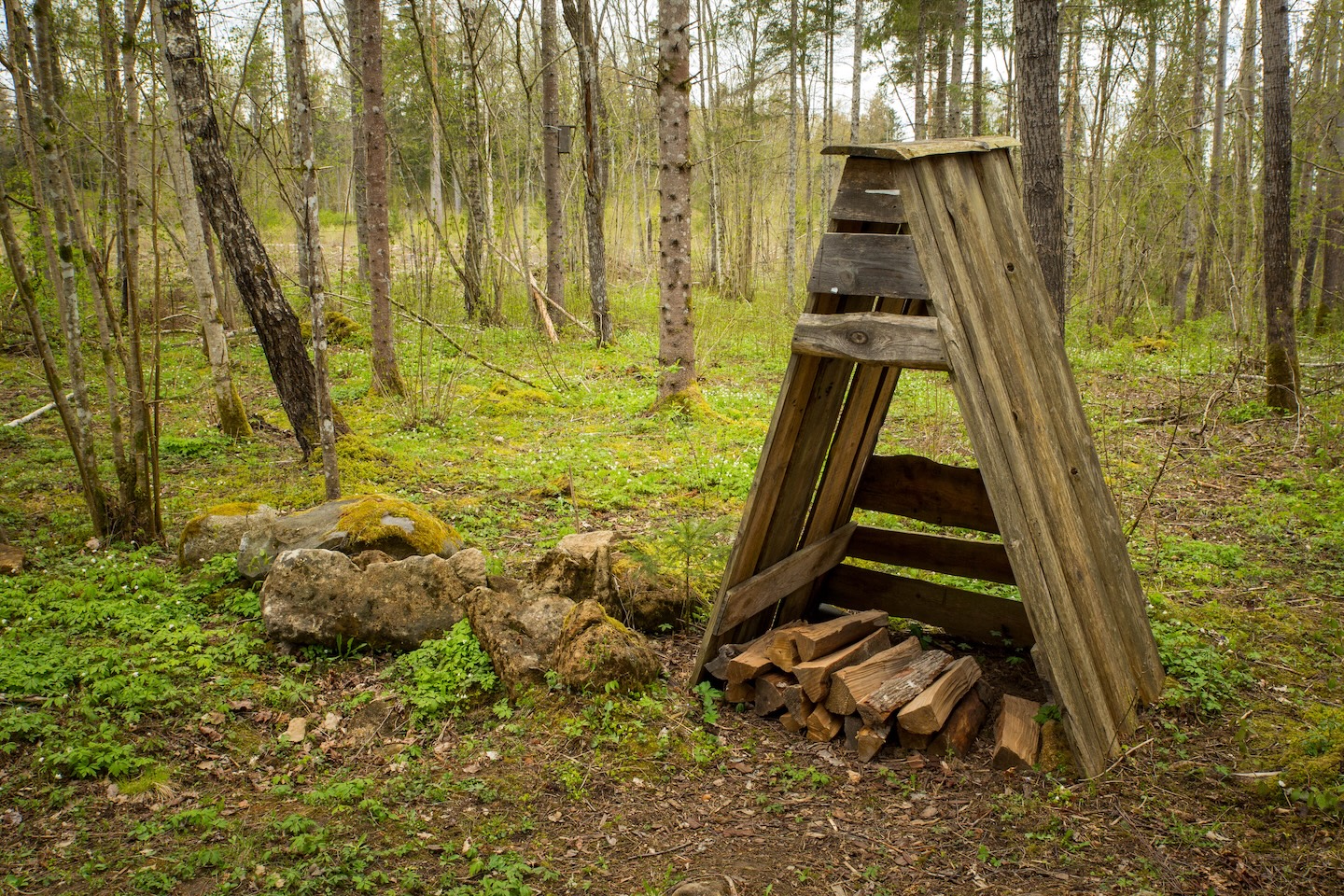 Järlepa campfire site
