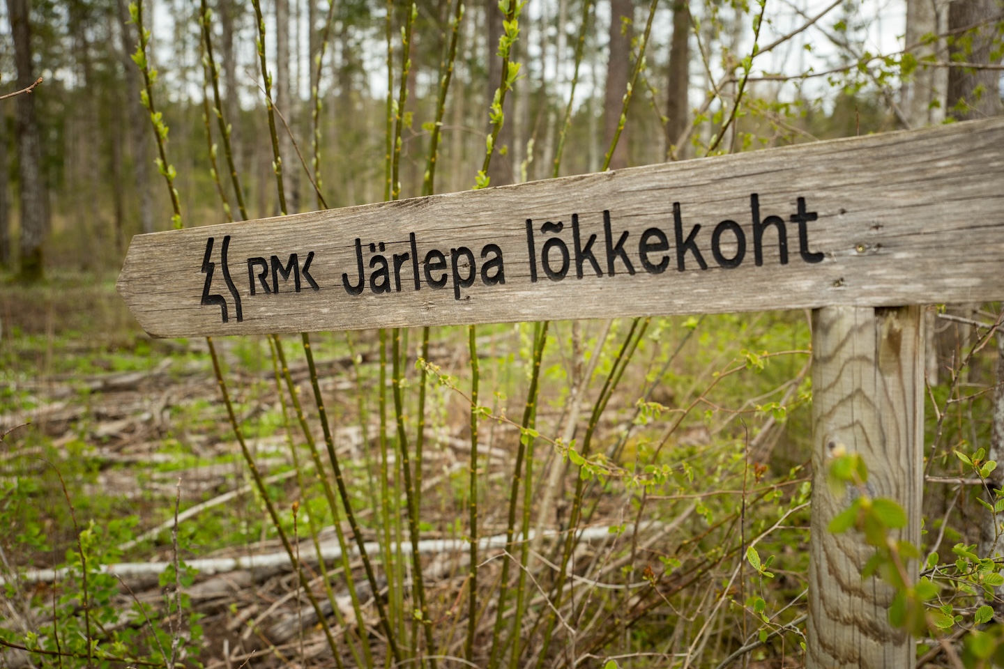 Järlepa campfire site
