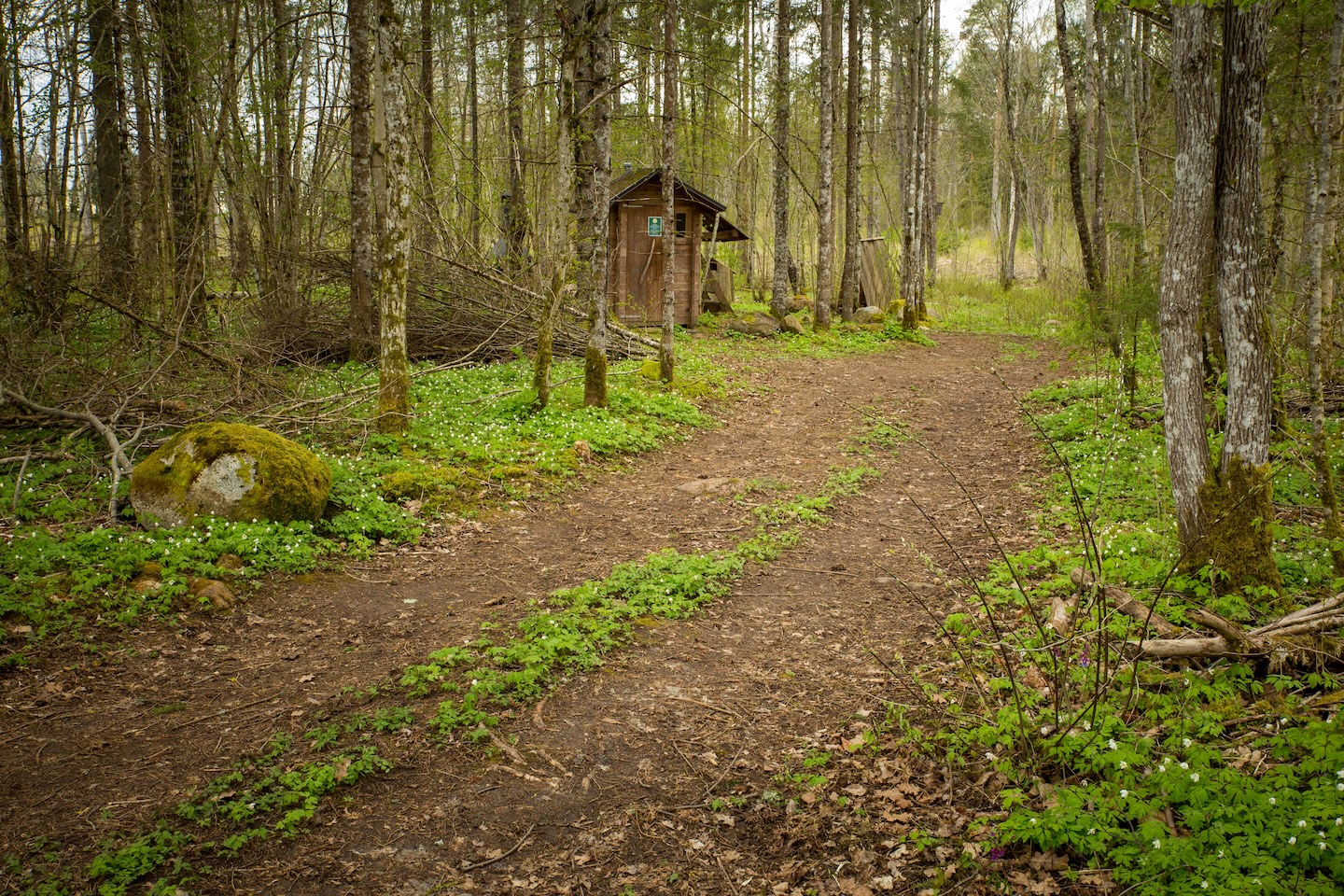 Järlepa campfire site