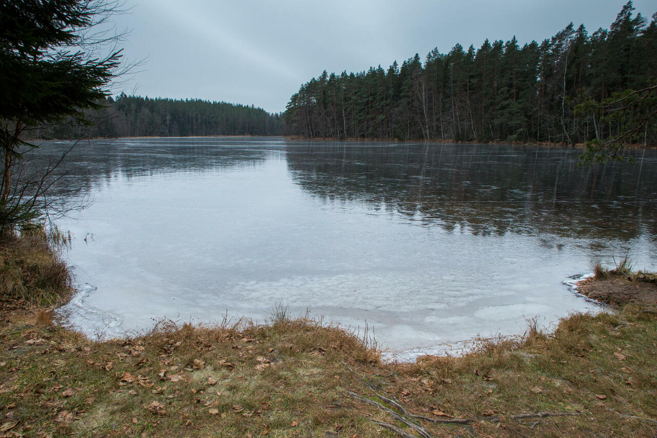 RMK matkatee Oandu-Aegviidu-Ikla 2. lõik Kalmeoja – Aegviidu (38 km)