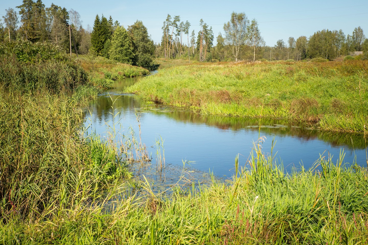 Kaiu rattarada (45 km)