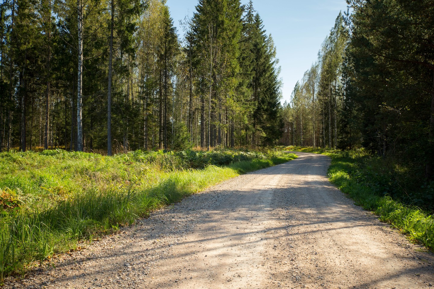 Kaiu rattarada (45 km)