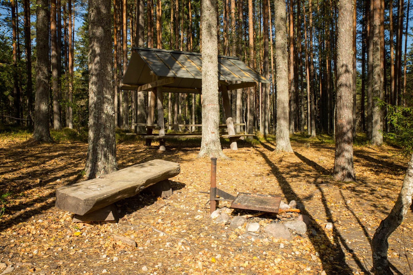 Kaiu rattarada (45 km)