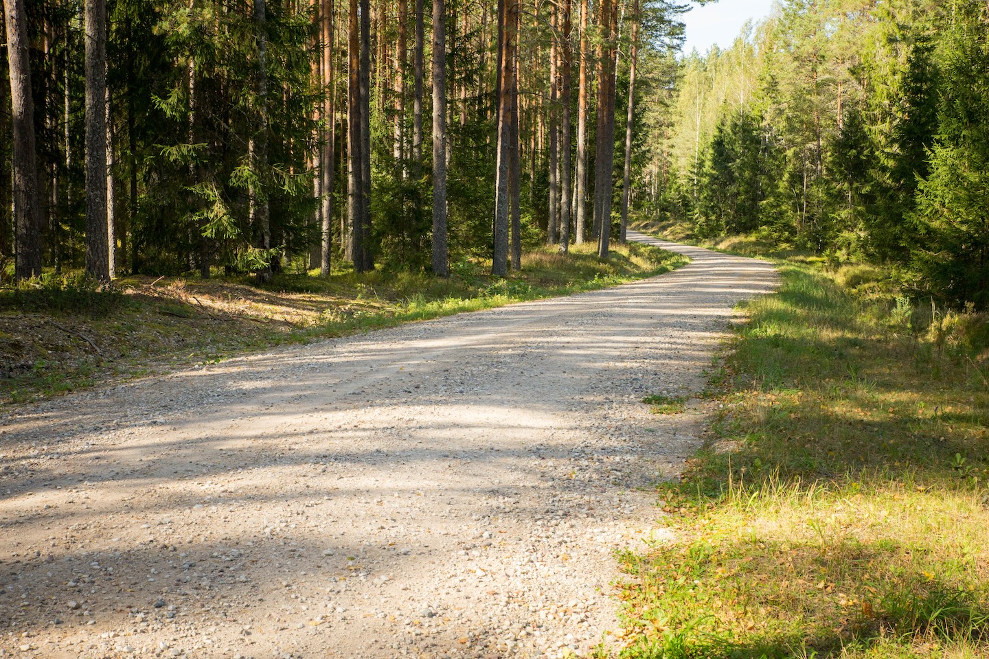 Kaiu rattarada (45 km)