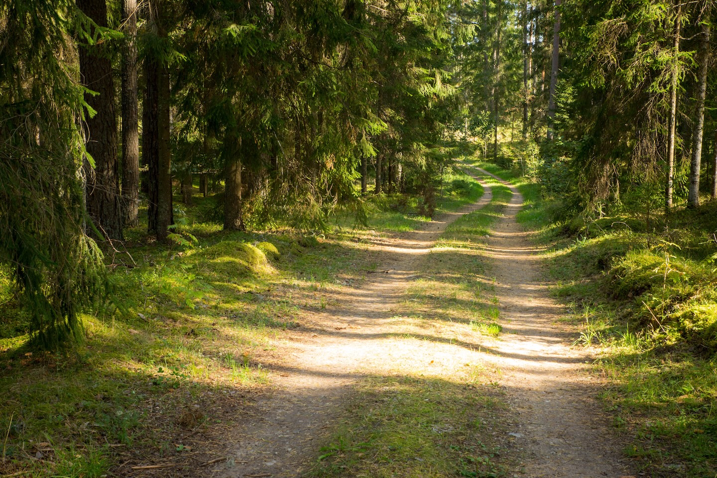 Kaiu rattarada (45 km)