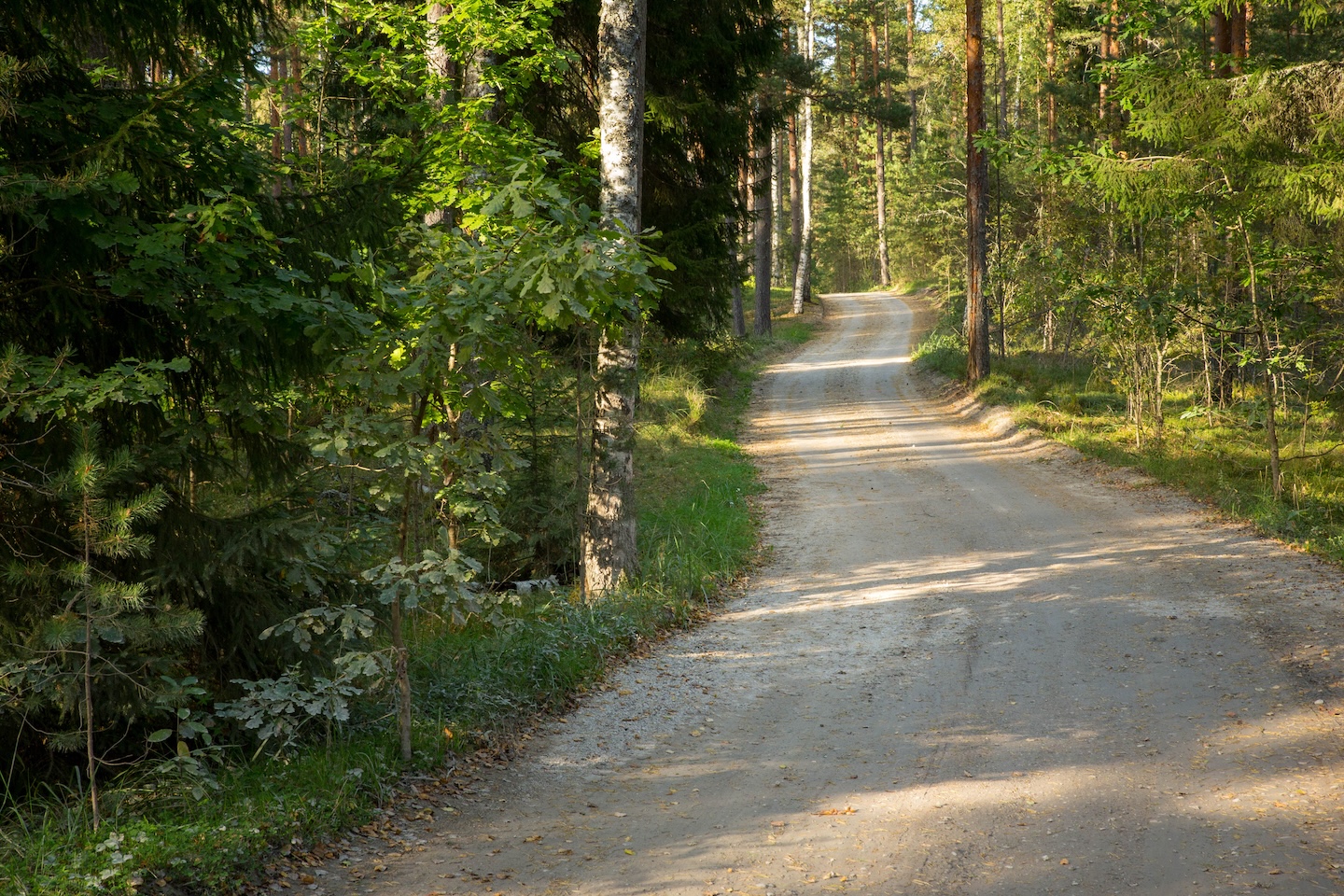 Kaiu rattarada (45 km)