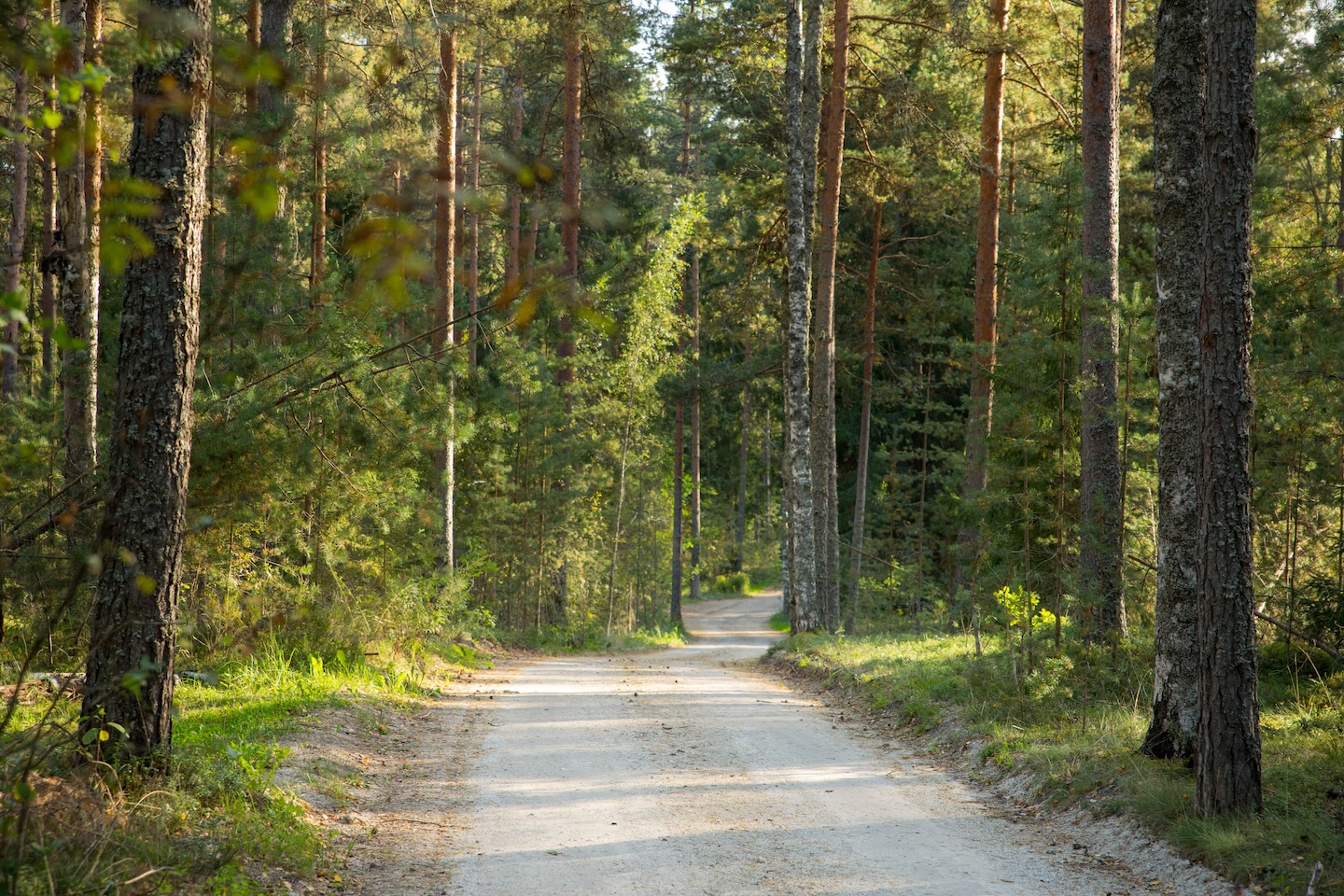 Kaiu rattarada (45 km)