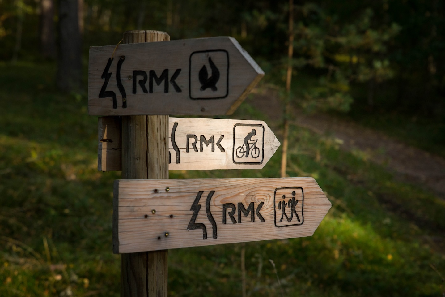 Kaiu rattarada (45 km)