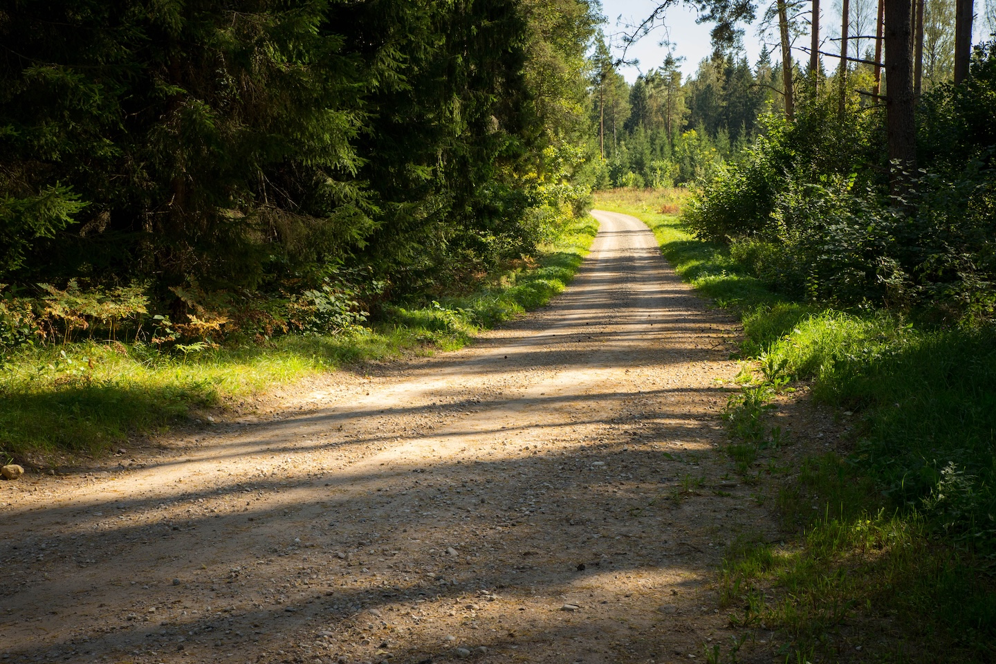 Kaiu rattarada (45 km)