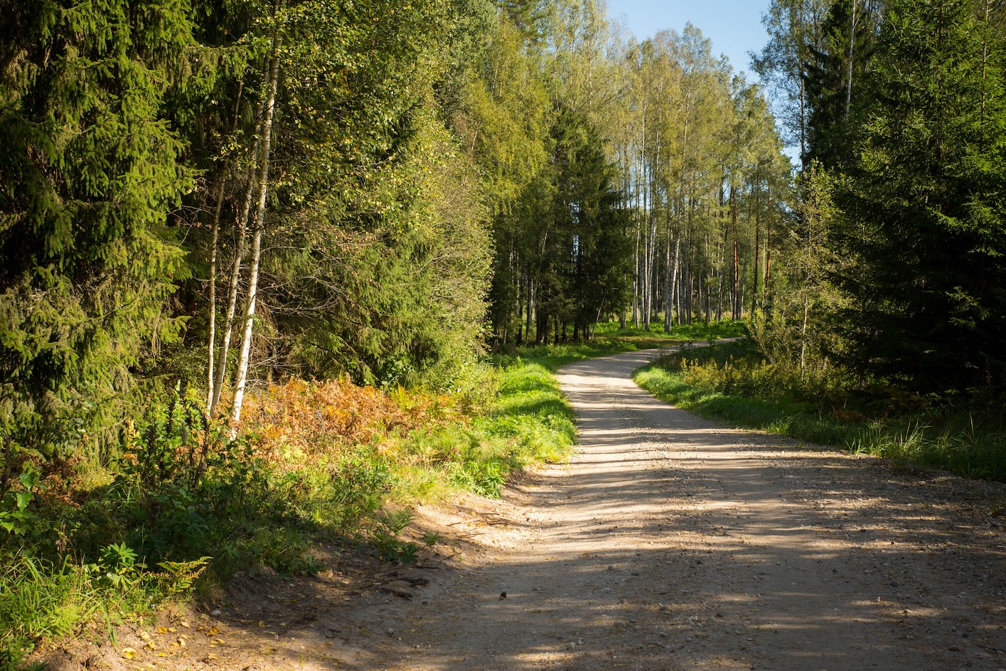 Kaiu rattarada (45 km)