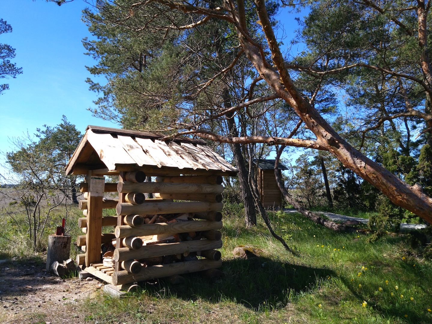 Käkisilma telkimisala