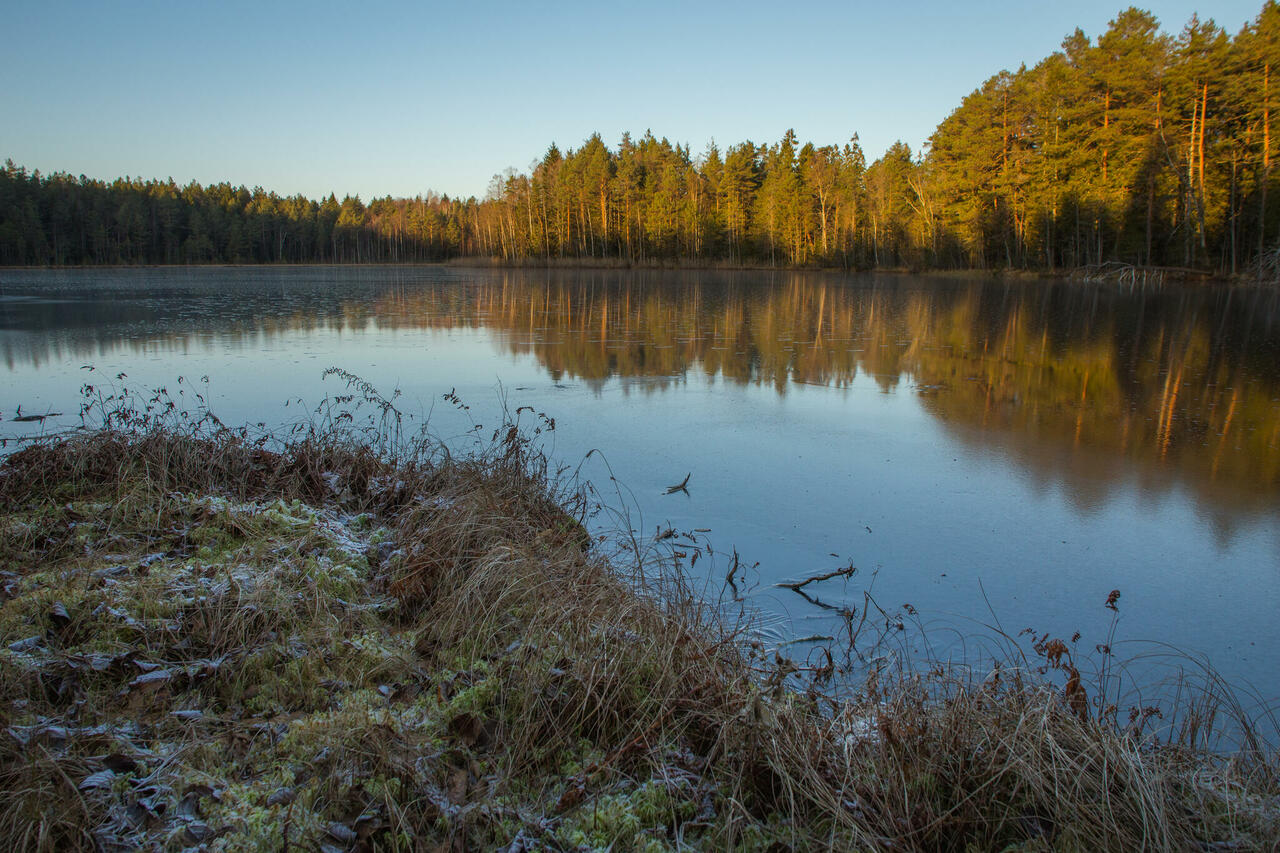 Kalajärve lõkkekoht