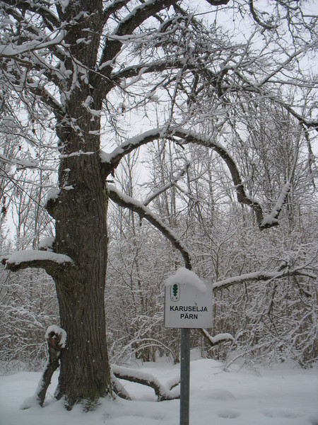 Karusselja puhkekoht