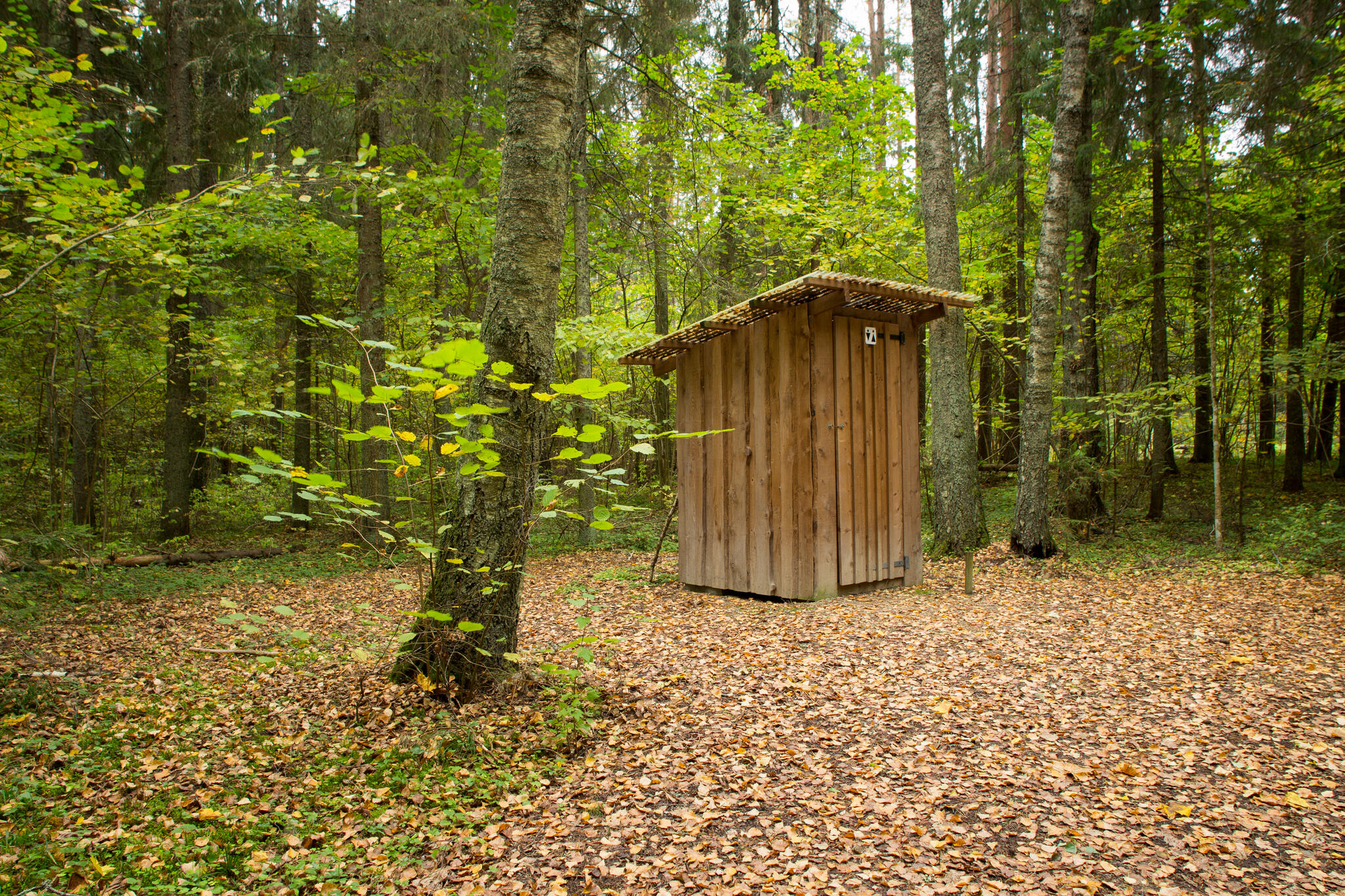 Kiigemäe lõkkekoht