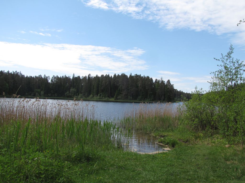 Kooraste cycling trail (38 km)