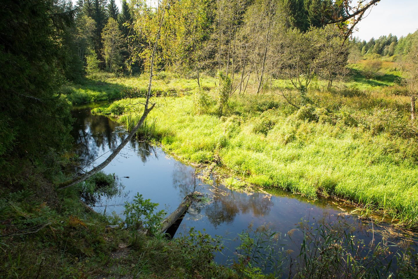 Kõrgekalda lõkkekoht