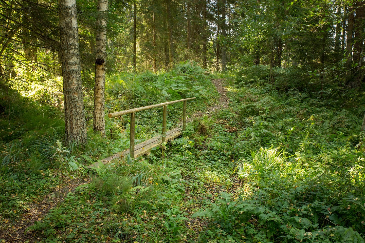 Kõrgekalda lõkkekoht